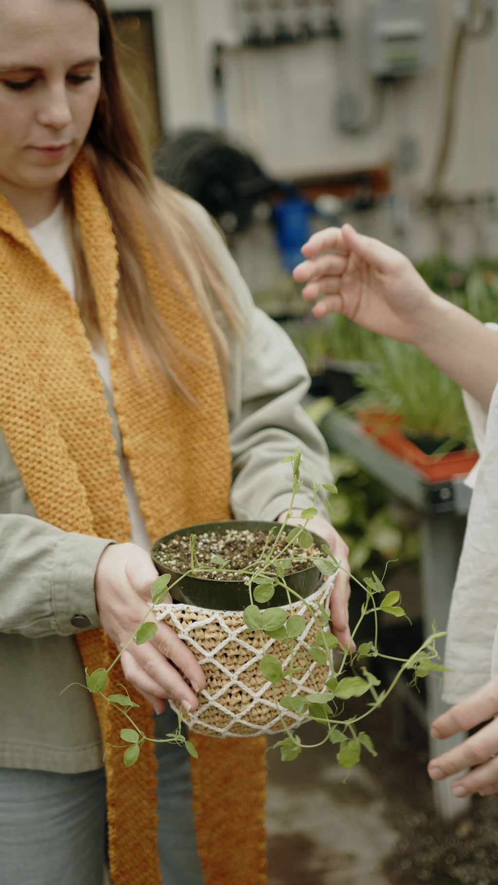 Garden Lattice Pot Cover | Crochet Pattern