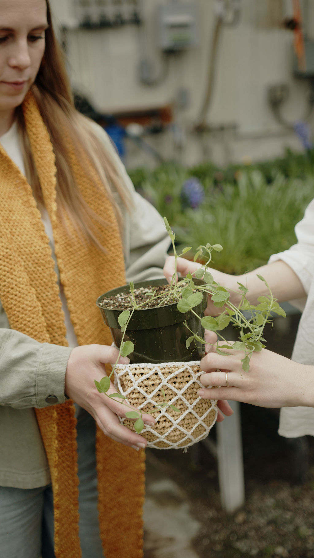 Garden Lattice Pot Cover | Crochet Pattern