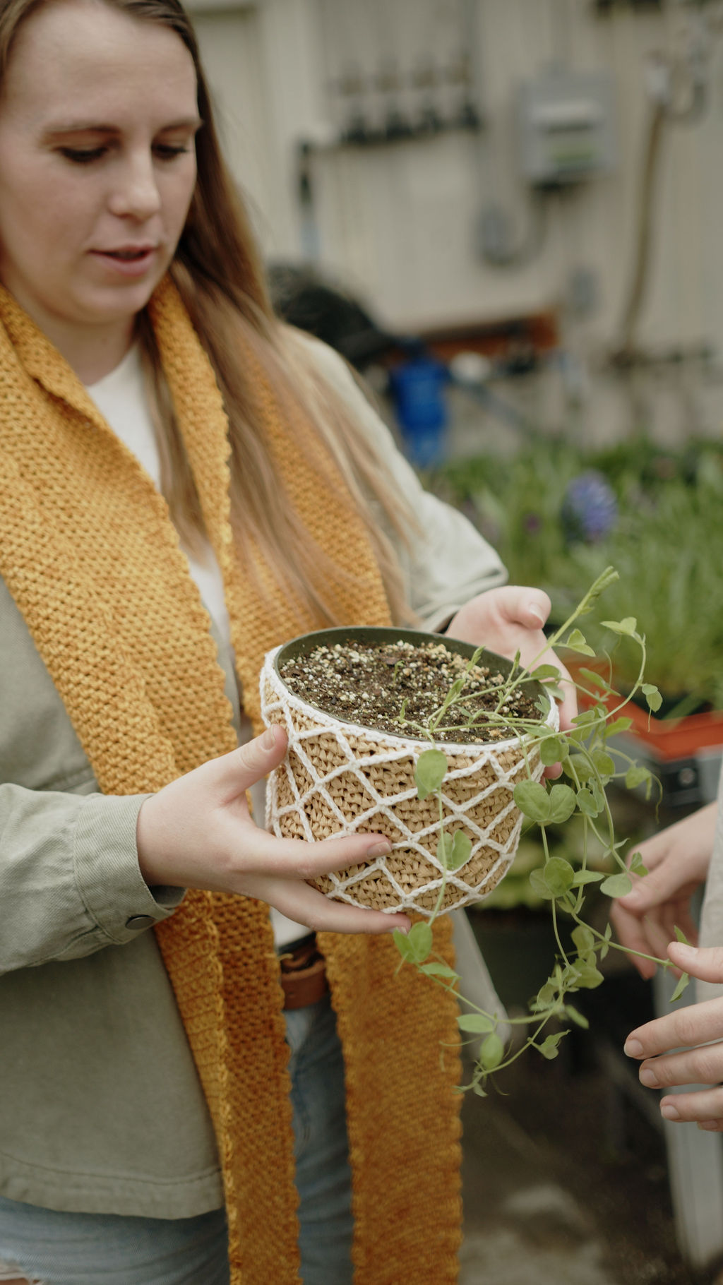 Garden Lattice Pot Cover | Crochet Pattern