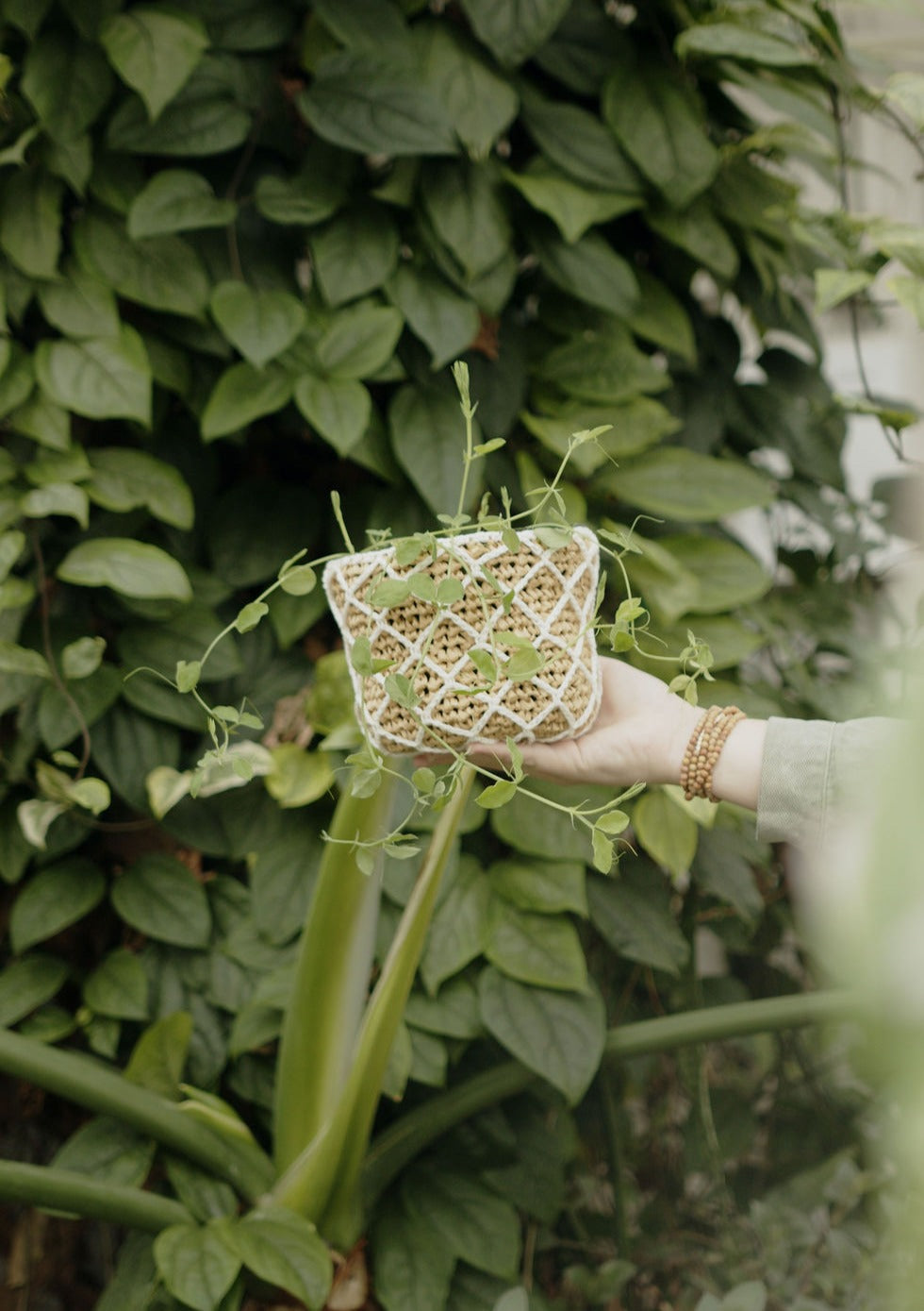 Garden Lattice Pot Cover | Crochet Pattern