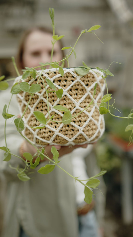 Garden Lattice Pot Cover | Crochet Pattern